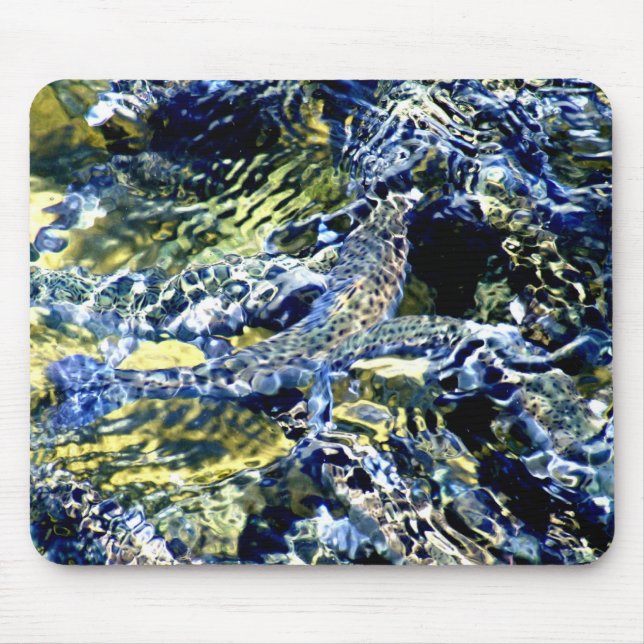 Fish10by8 Mouse Pad (Front)
