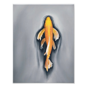 Fish-1 Photo Print