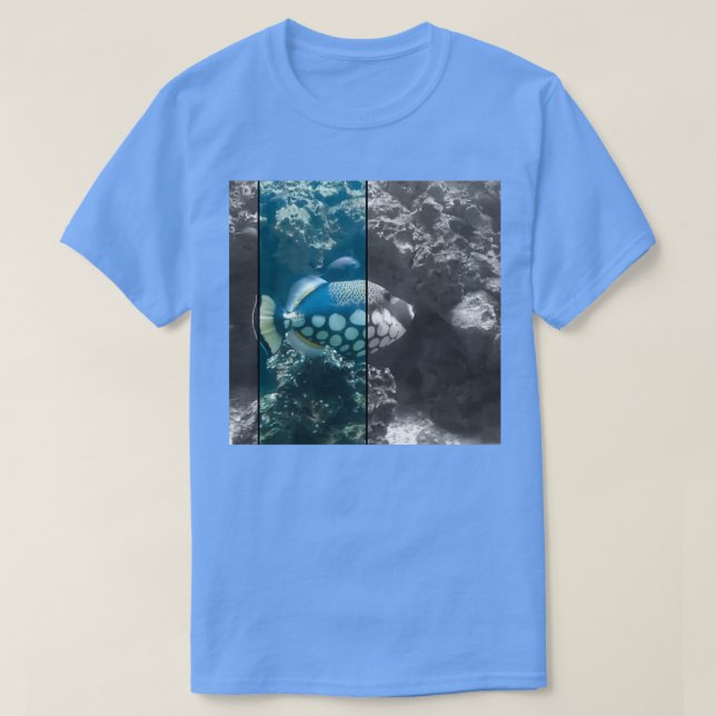 Fish 24 T-Shirt (Design Front)