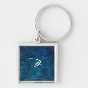 Fish 2 key ring