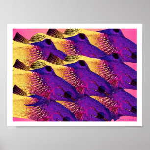 'Fish 6.2' Poster