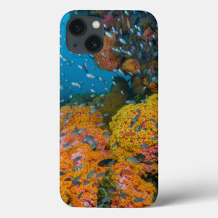 Fish Among Coral Reef iPhone 13 Case
