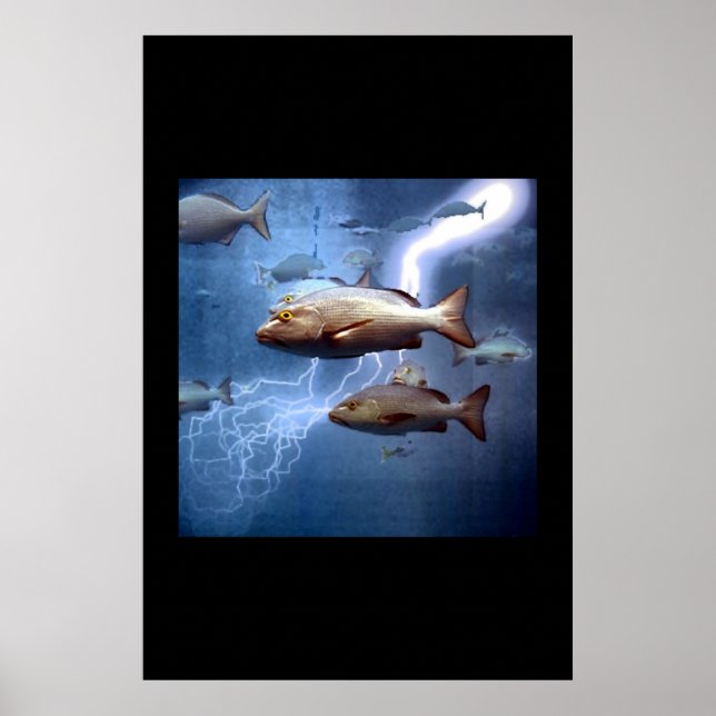 fish and lightning poster (Front)