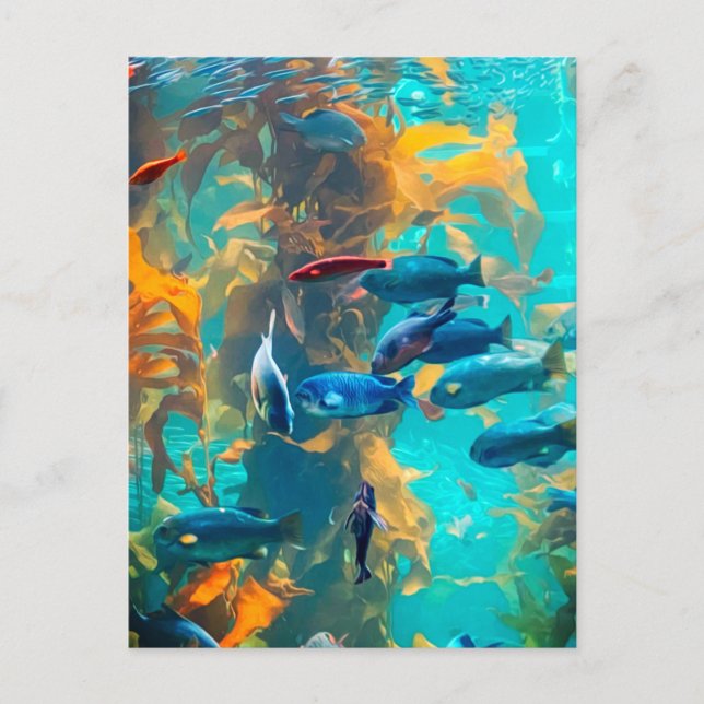 Fish and Seaweed  Postcard (Front)