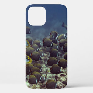 Fish at coral reef in the Oceanbackground,colourfu iPhone 12 Case