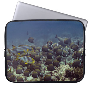 Fish at coral reef in the Oceanbackground,colourfu Laptop Sleeve