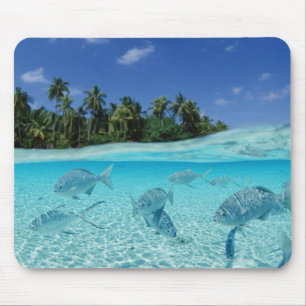 Fish at Sea Mouse Pad