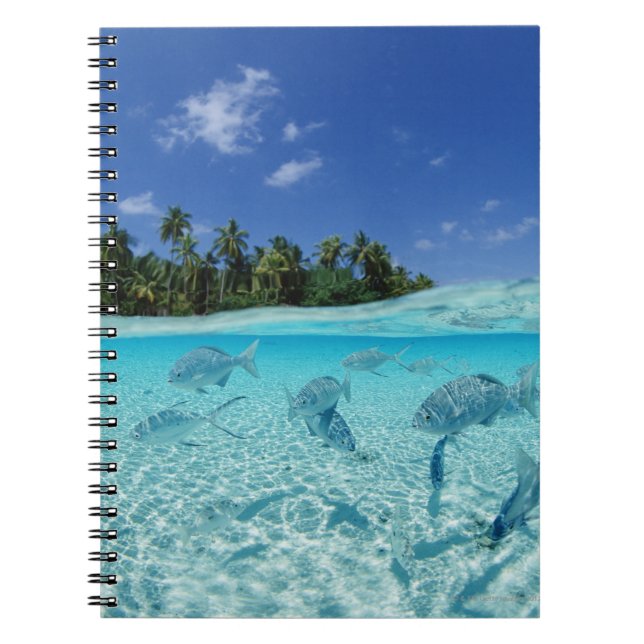 Fish at Sea Spiral Notebook (Front)