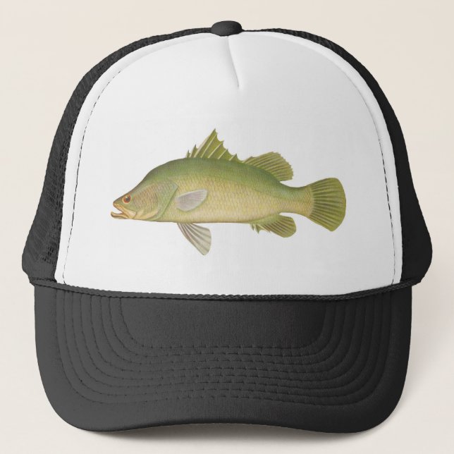 Fish - Barramundi - Lates calcarifer Trucker Hat (Front)