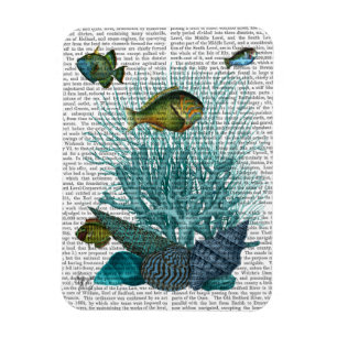 Fish Blue Shells and Corals Magnet