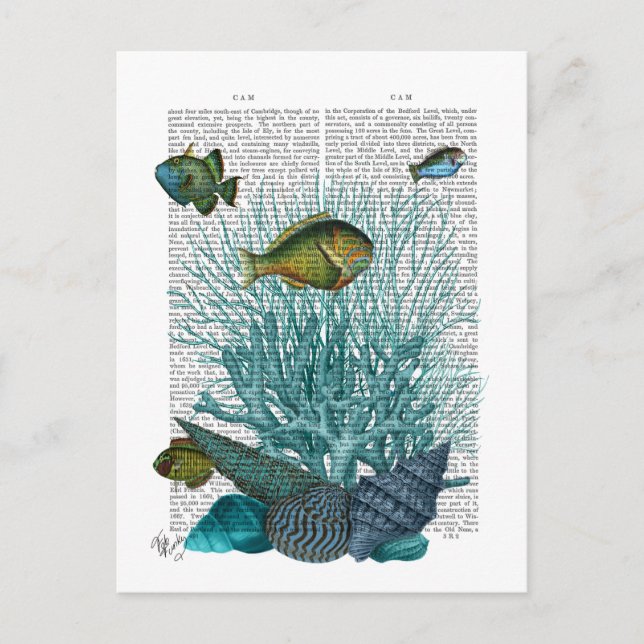 Fish, Blue Shells and Corals Postcard (Front)