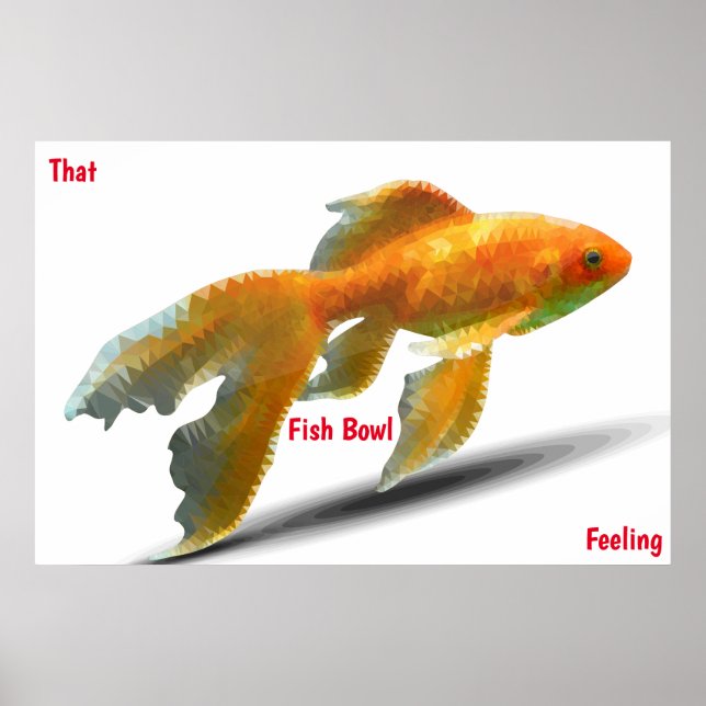 Fish Bowl Feeling Poster (Front)