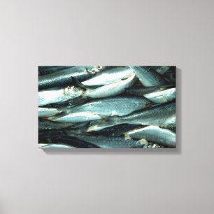 Fish Canvas Print