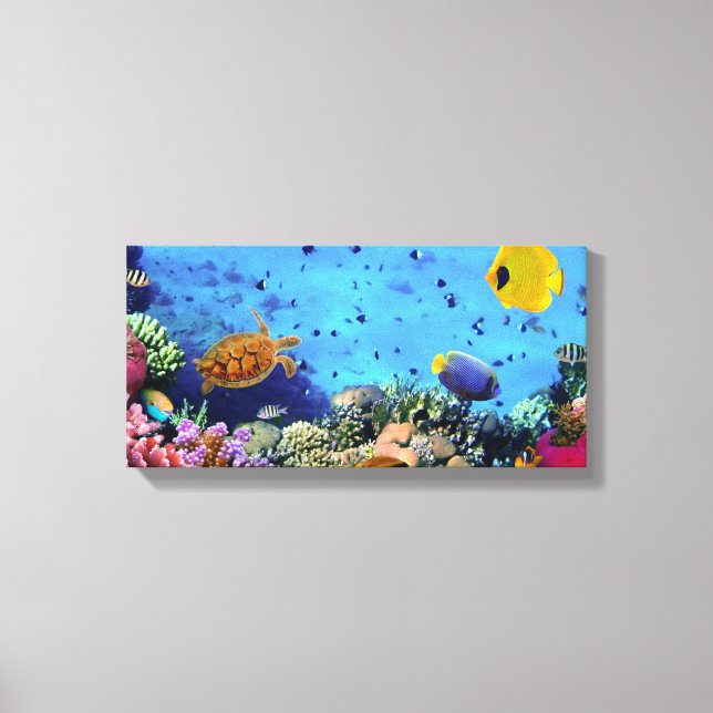 Fish Canvas Print (Front)