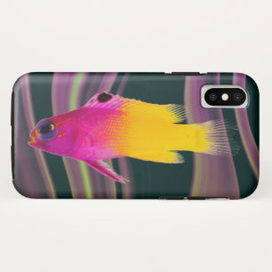 Fish Case-Mate iPhone Case