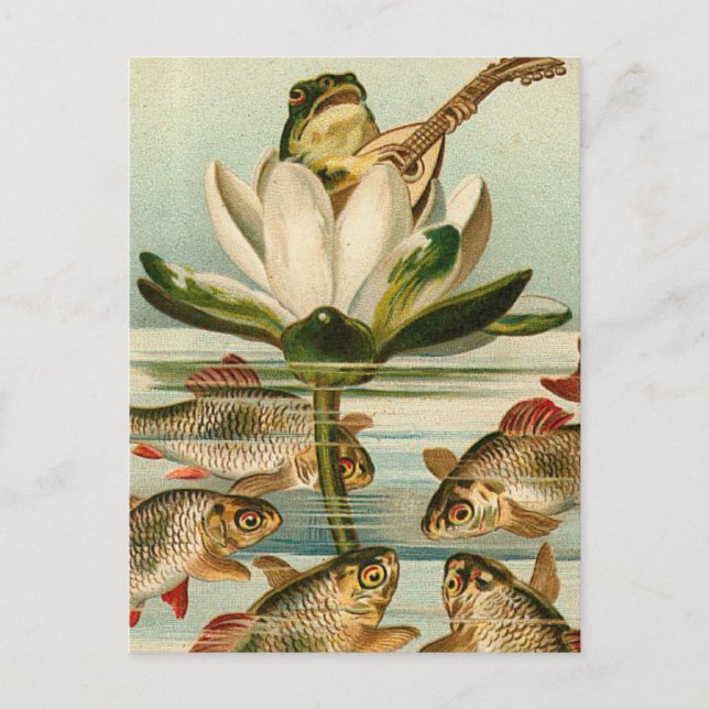 Fish Charmer Postcard (Front)