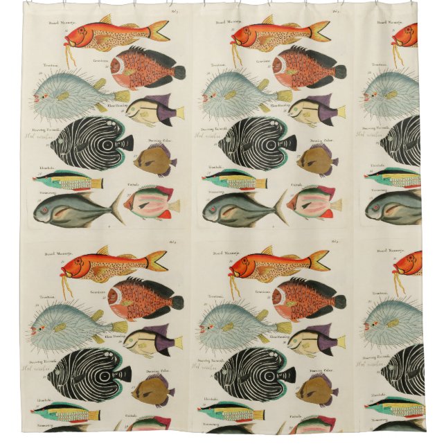 Fish collection shower curtain (Front)