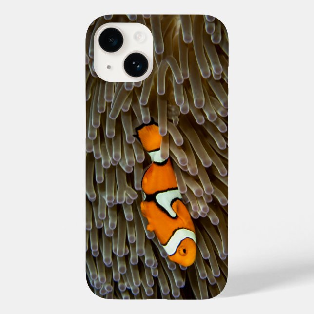 Fish, Coral, Underwater Case-Mate iPhone Case (Back)