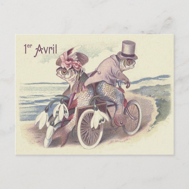 Fish Couple Bicycle Sea Ocean Lily Postcard (Front)