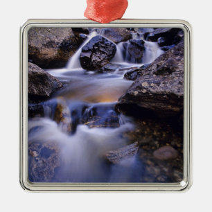 Fish Creek Falls near Steamboat Springs Colorado Metal Tree Decoration