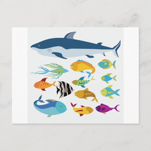 fish design postcard (Front)