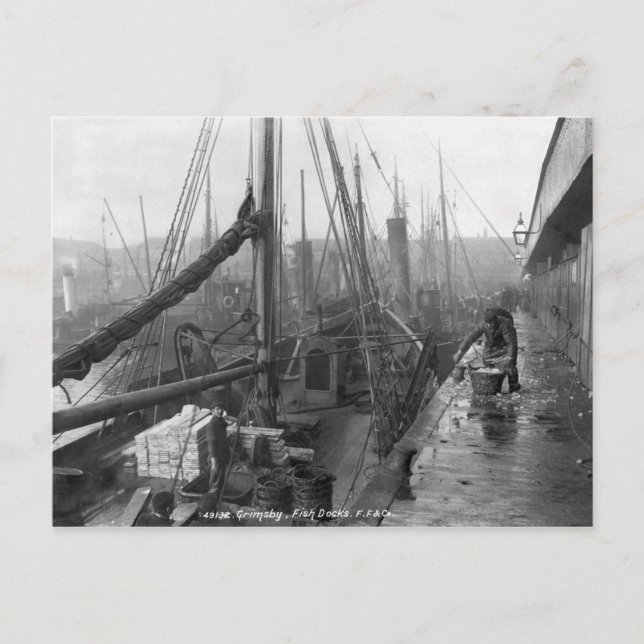 Fish docks, Grimsby, early 20th century Postcard (Front)