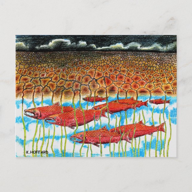 Fish Dream Postcard (Front)