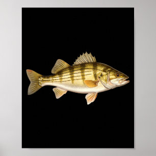 Fish Ed B Er Fishing Art For Anglers  Poster
