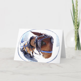 Fish-Eye Horse and Carriage Card