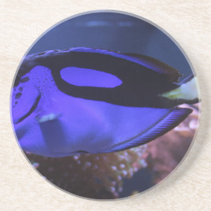 fish fishing sea custom personalise Anniversaries Coaster