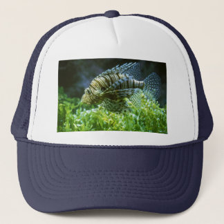 FISH HAT