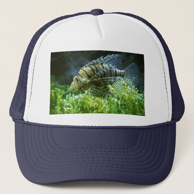 FISH HAT (Front)