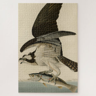 Fish Hawk, Osprey, from Audubon's Birds of America Jigsaw Puzzle