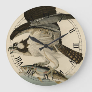 Fish Hawk, Osprey, from Audubon's Birds of America Large Clock