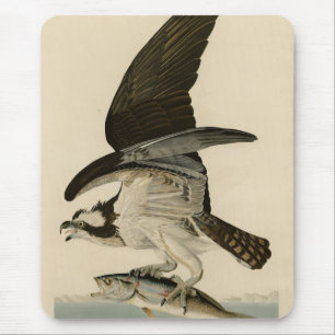 Fish Hawk, Osprey, from Audubon's Birds of America Mouse Pad