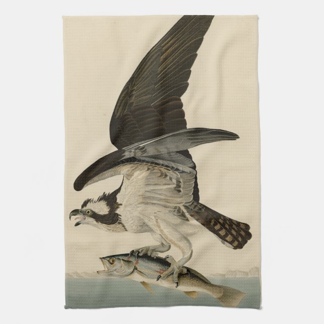 Fish Hawk, Osprey, from Audubon's Birds of America Tea Towel (Vertical)