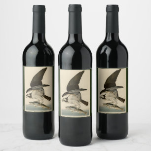 Fish Hawk, Osprey, from Audubon's Birds of America Wine Label