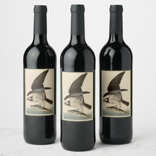 Fish Hawk, Osprey, from Audubon's Birds of America Wine Label (Bottles)