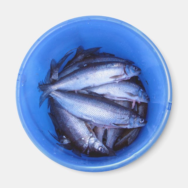 Fish in a Bucket Magnet (Front)