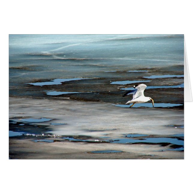 Fish in Mouth (Front Horizontal)