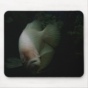 Fish in Tank Mouse Pad