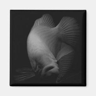 Fish in Tank Portrait Magnet