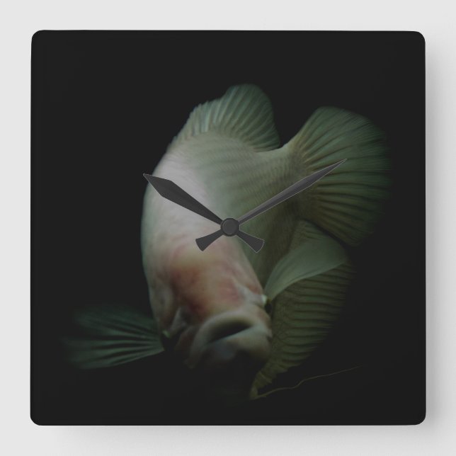 Fish in Tank Portrait Square Wall Clock (Front)