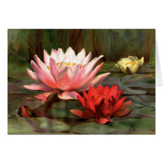 Fish in the Lily Pads