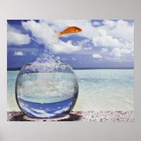 Fish jumping from fish tank