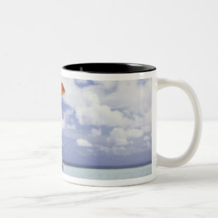 Fish jumping from fish tank Two-Tone coffee mug