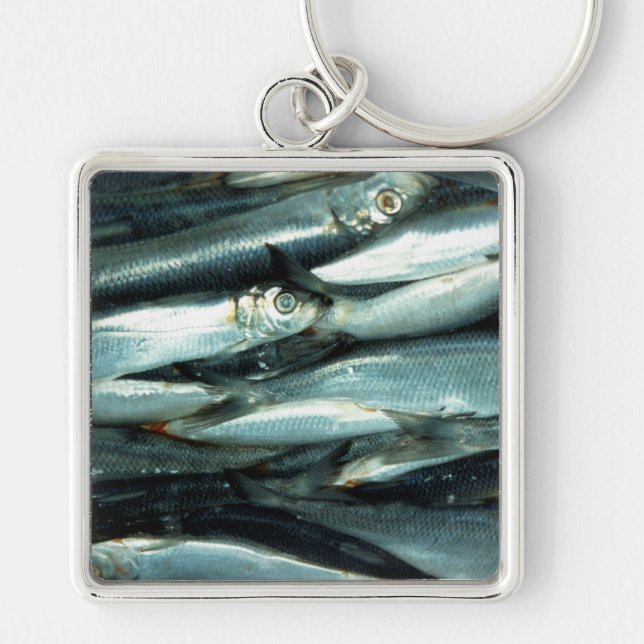 Fish Key Ring (Front)