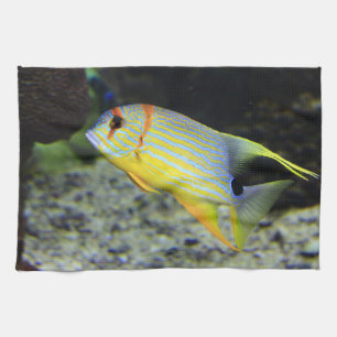 Fish Kitchen Towels