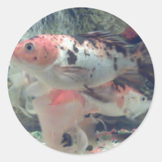 Fish Koi Round Sticker