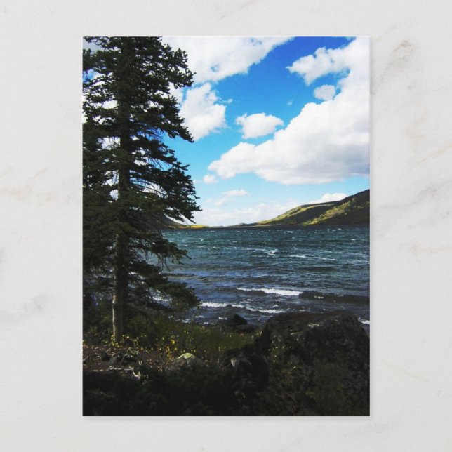 Fish Lake, Utah Postcard (Front)